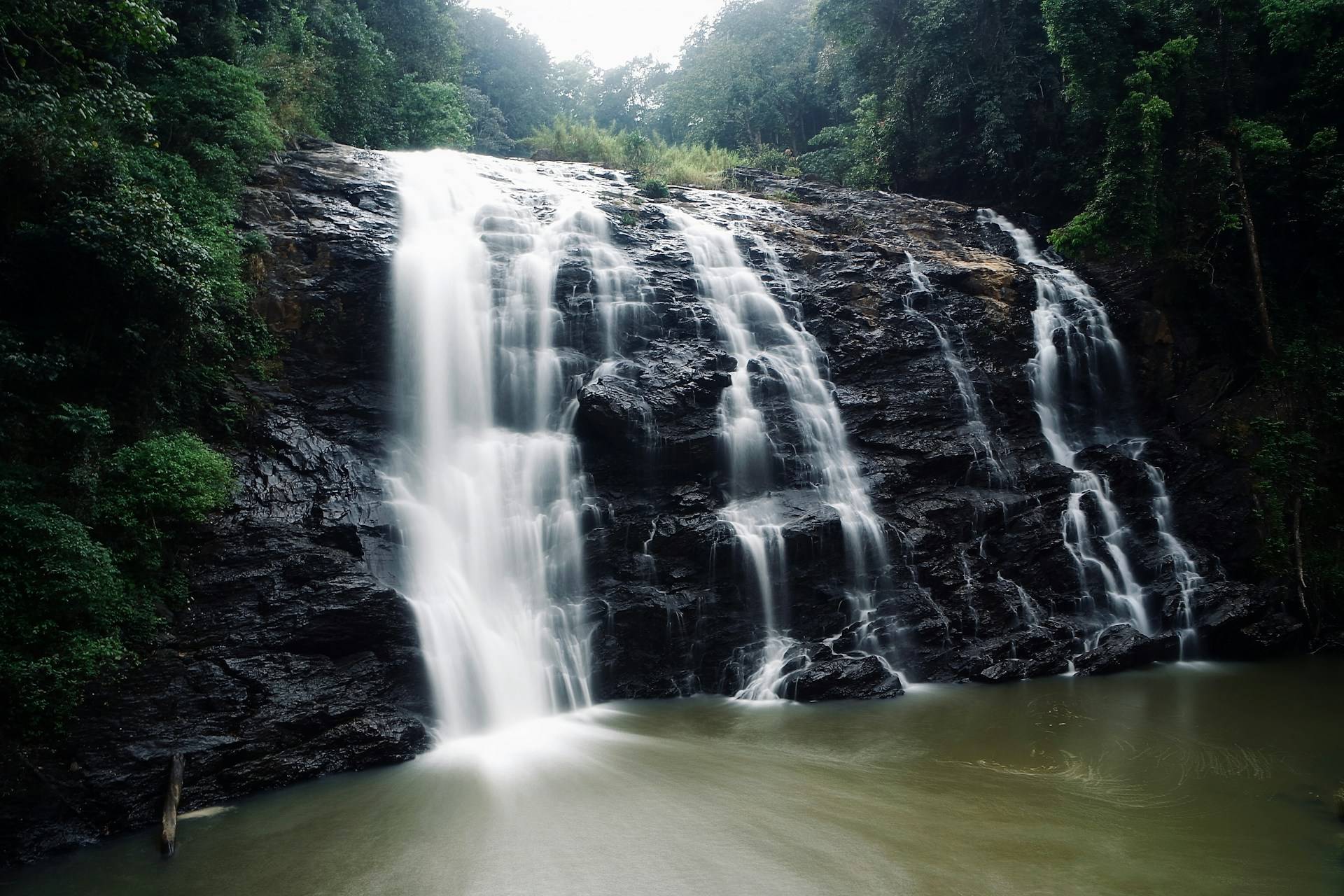 The Essence of South India: Kabini, Coorg & Bekal Escape